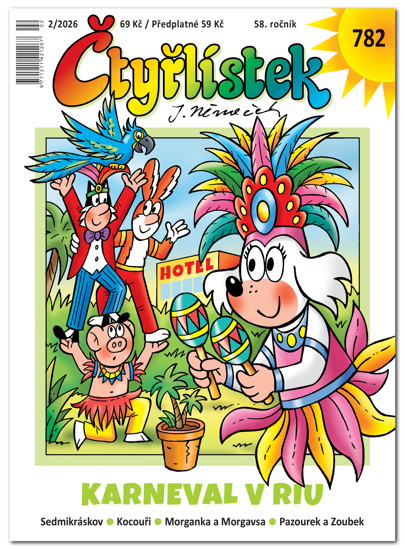 Obrázek z 782 Karneval v Riu 